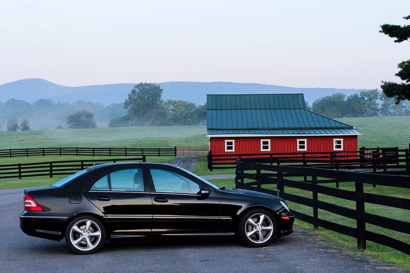 Barn Bliss